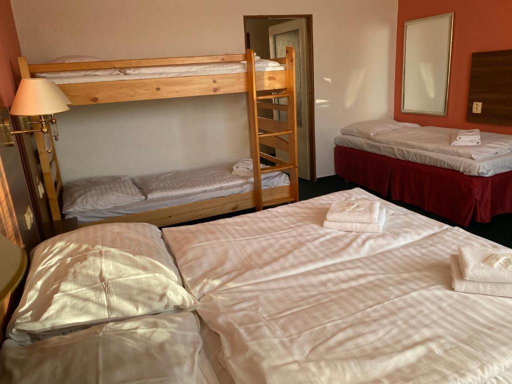 Postel nebo postele na pokoji v ubytování Hotel Formanka