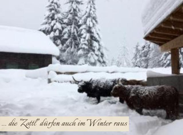 Zottlhof- dein Urlaubszauber auf 1.200m v zime