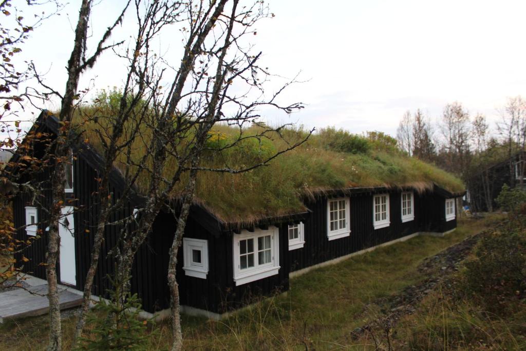 ein strohgedecktes Haus mit Grasdach in der Unterkunft Gålå Fjellhytte - cabin with sauna and whirlpool tub in Sør-Fron