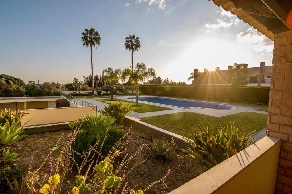 einen Hinterhof mit einem Pool und Palmen in der Unterkunft Amazing Apartment With Pool View in Vilamoura