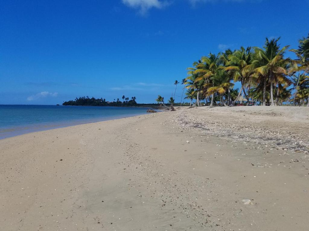 une plage de sable avec des palmiers et l'océan dans l'établissement Cocobeach Cabin no pets allowed, à Río Grande