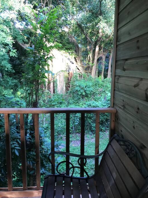 Zahrada ubytování Chalet Colibri , Les ANSES d'ARLET 200 m plage