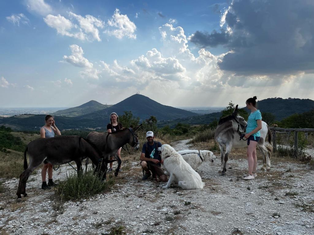 Zvieratá v dovolenkovom dome alebo blízkom okolí