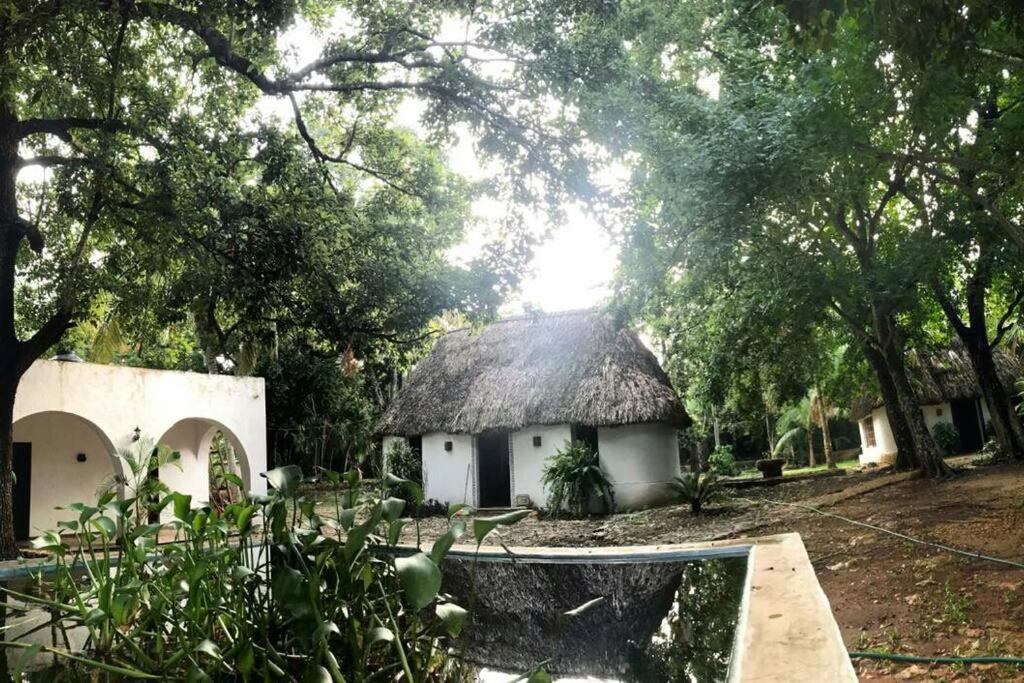 Cabañas Pájaro Azul