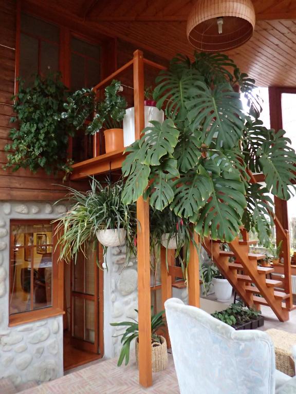 Fotografie z fotogalerie ubytování Family House - Apartmany Zuzana ve Staré Lesné