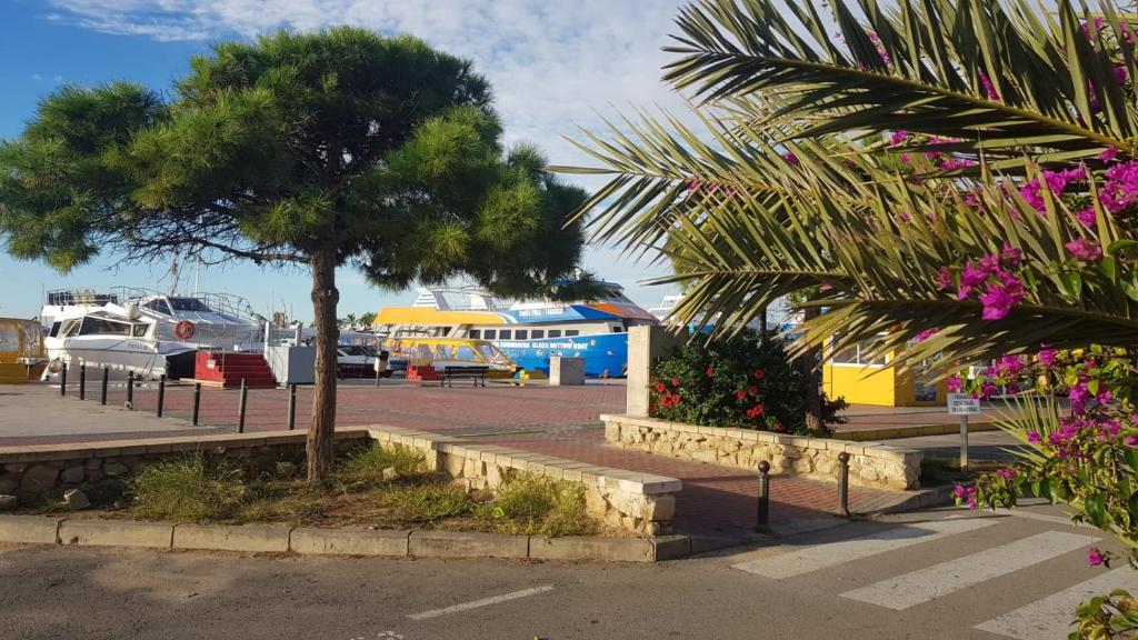 Parking Castilla. Caravan Parking in Elche, Alicante. Parking 24 hours