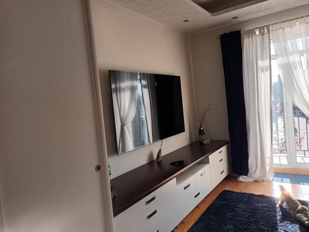 TV a/nebo společenská místnost v ubytování Skaistakalnio apartamentai