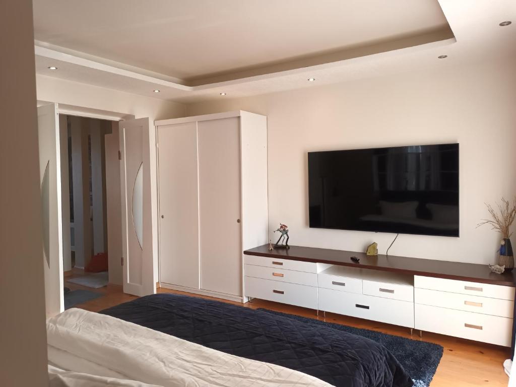 TV a/nebo společenská místnost v ubytování Skaistakalnio apartamentai
