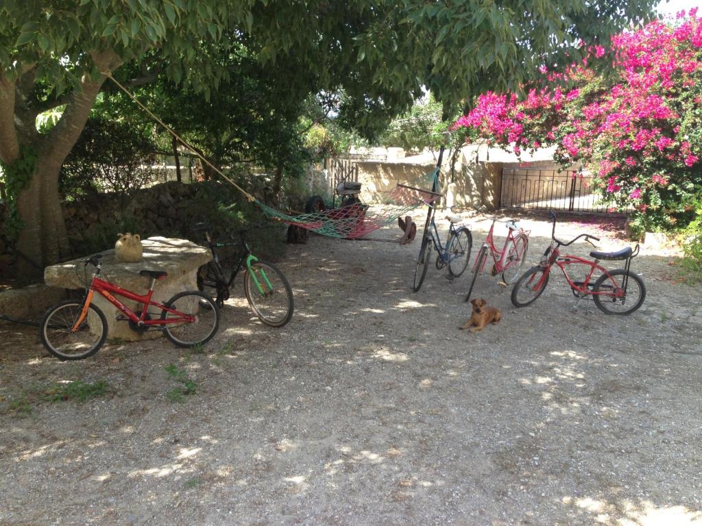 Fotografie z fotogalerie ubytování Finca Rural Son Amer v destinaci Manacor