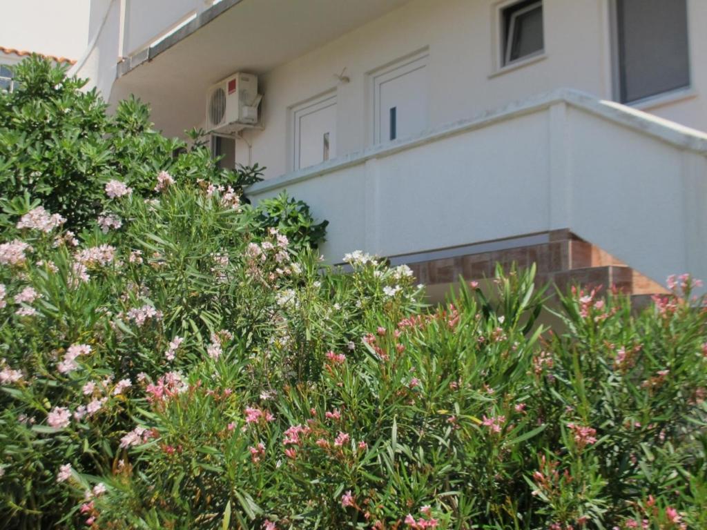 Vonkajšia záhrada v ubytovaní Apartment in Vir with sea view, terrace, air conditioning, WiFi 4472-2