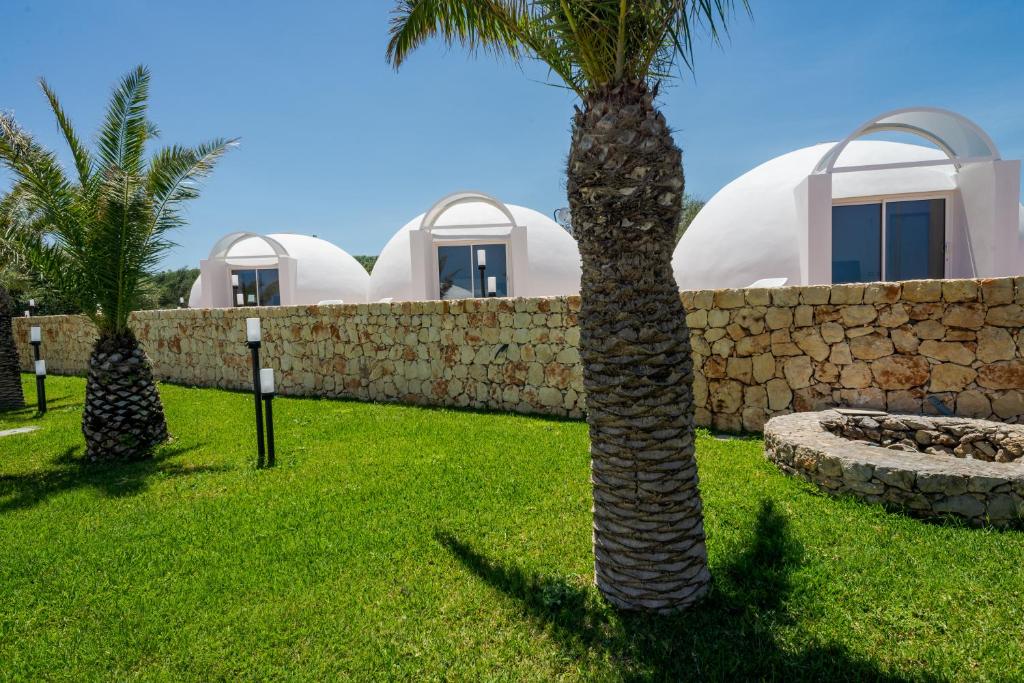 Zahrada ubytování Hotel Capo Campolato