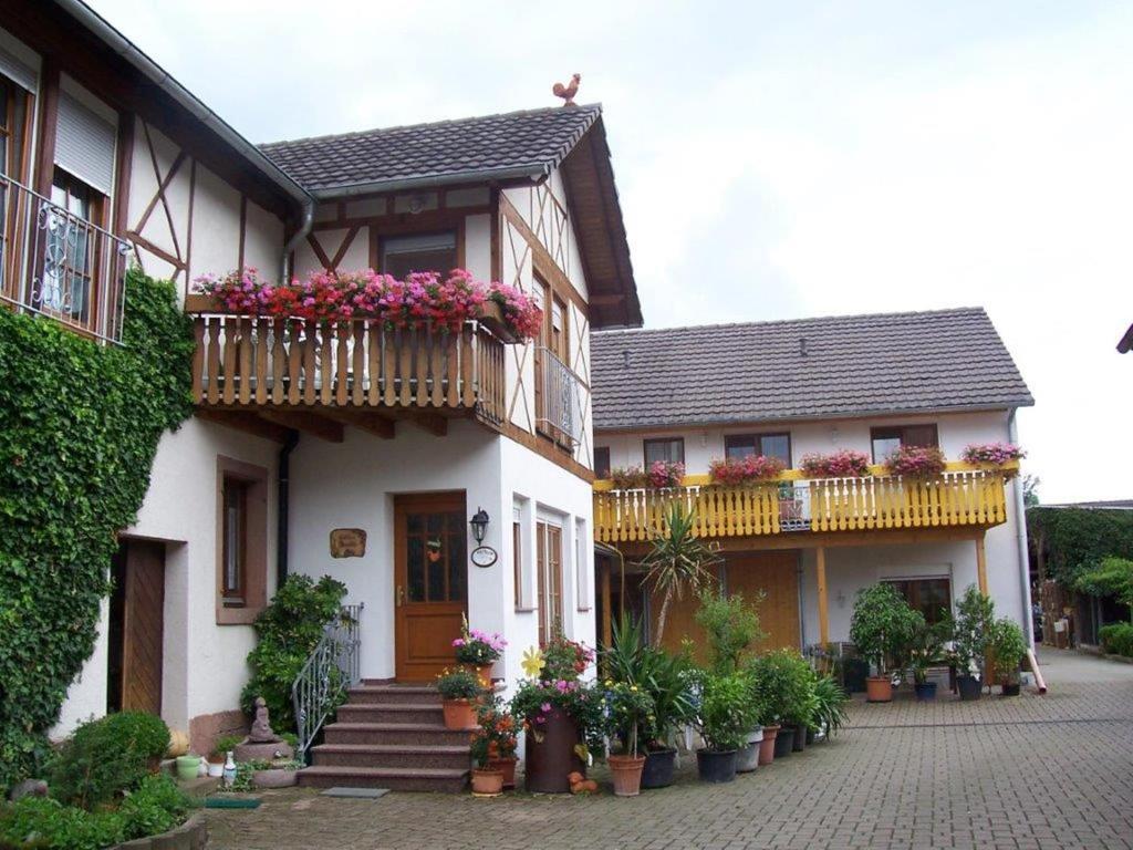 una casa con macetas de flores y balcones en ella en Apartment Meyerhof, en Schwanau