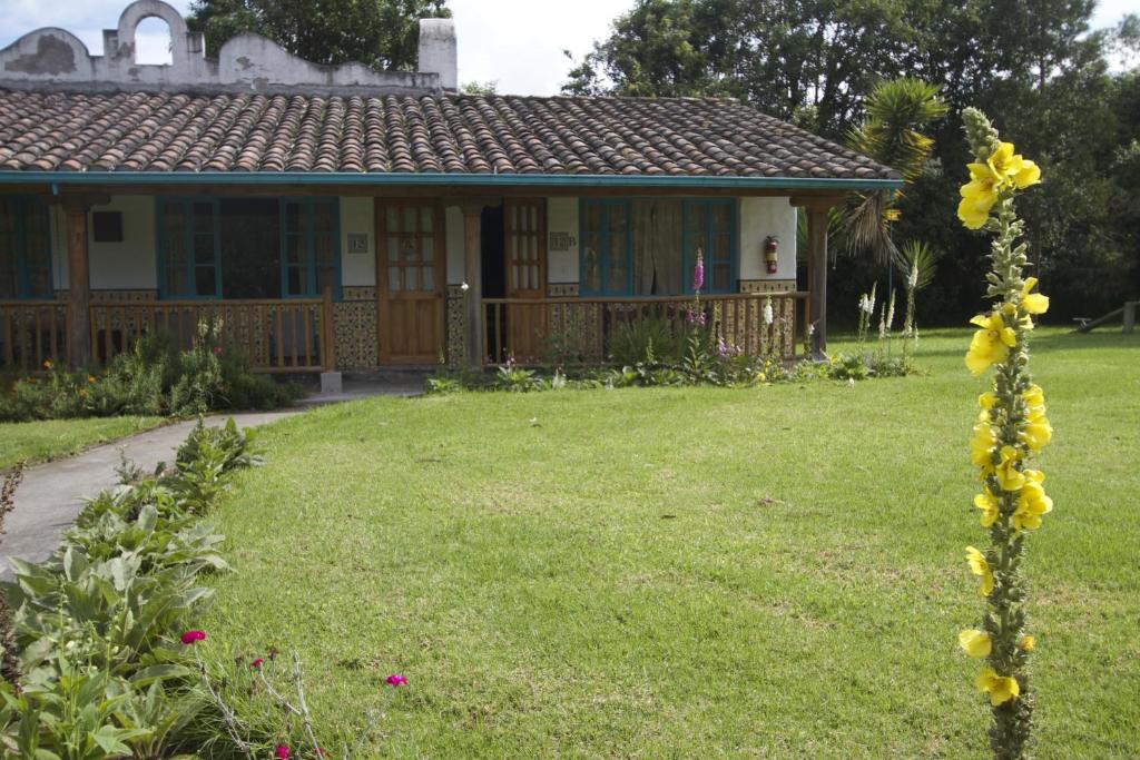 Zahrada ubytování Las Palmeras Inn