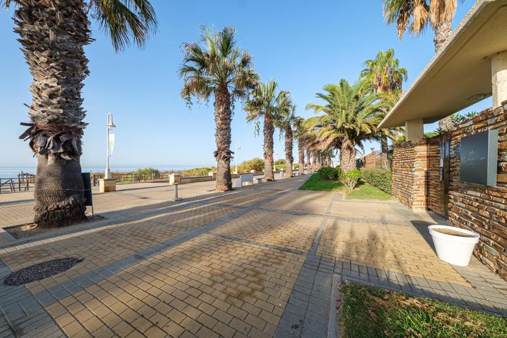 Imagen de la galería de Estival Islantilla, en Islantilla