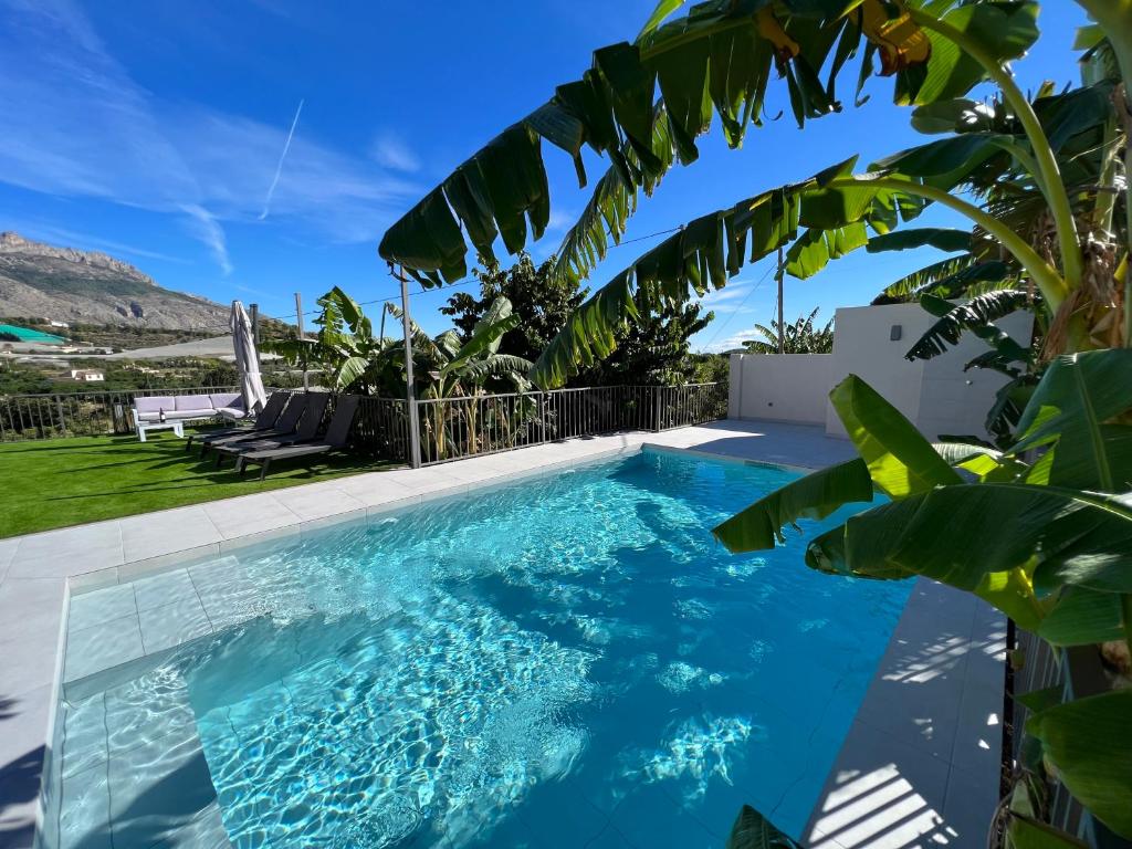 a swimming pool in a villa with a palm tree at Casa Rural Altaret in Callosa de Ensarriá