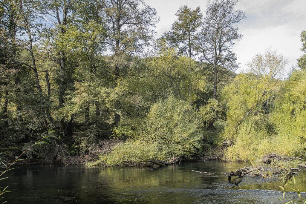 Cabañas Tierra Nueva