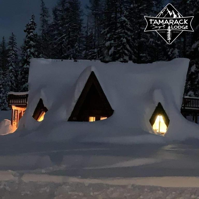 Tamarack Lodge at Tollgate, Weston (updated prices 2024)