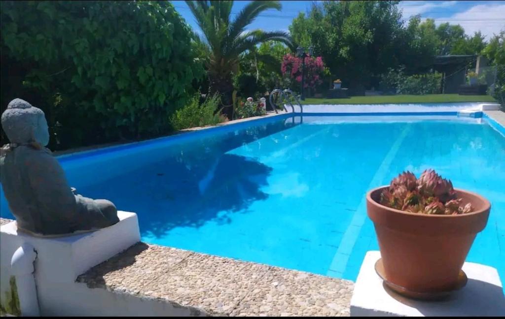 uma piscina azul com um vaso de plantas ao lado em Casa de Campo Talavera em Talavera de la Reina
