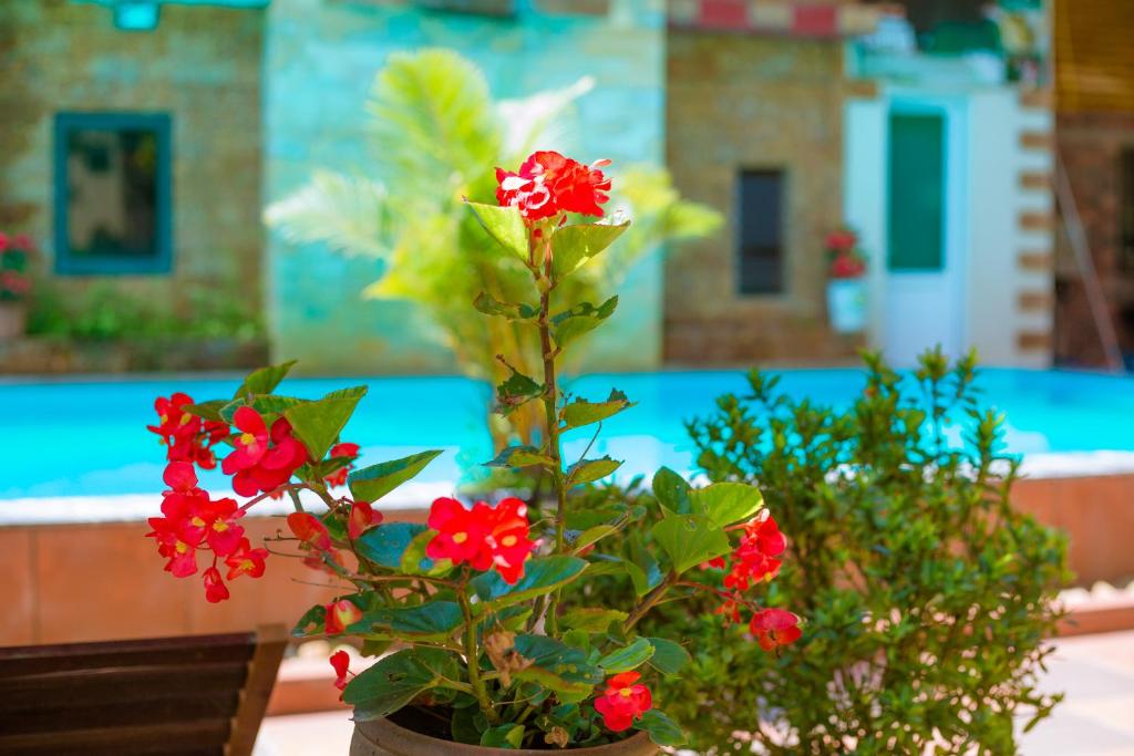 Phong Nha Tuan Garden House - 19