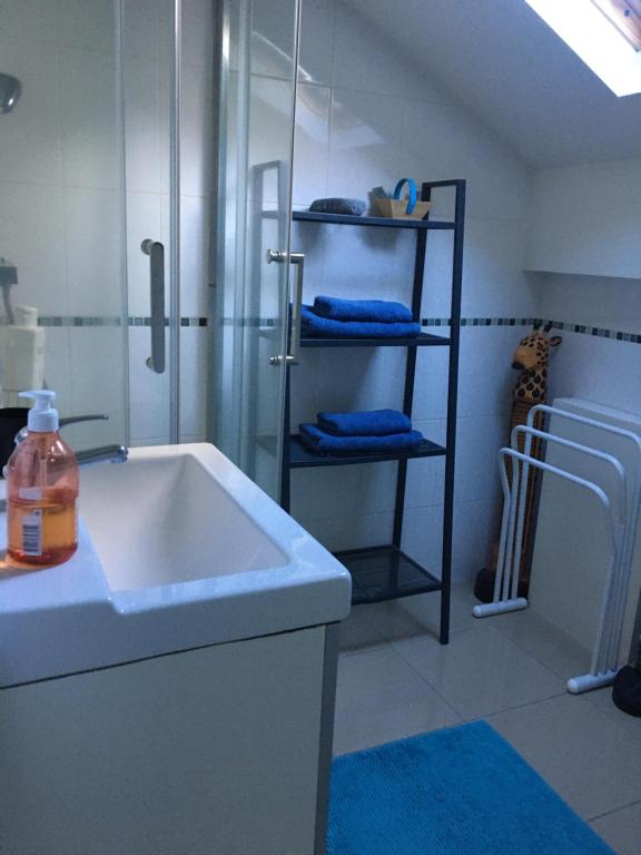 a bathroom with a shower and a white sink at Studio centre-ville climatisé avec parking gratuit in Clermont-Ferrand