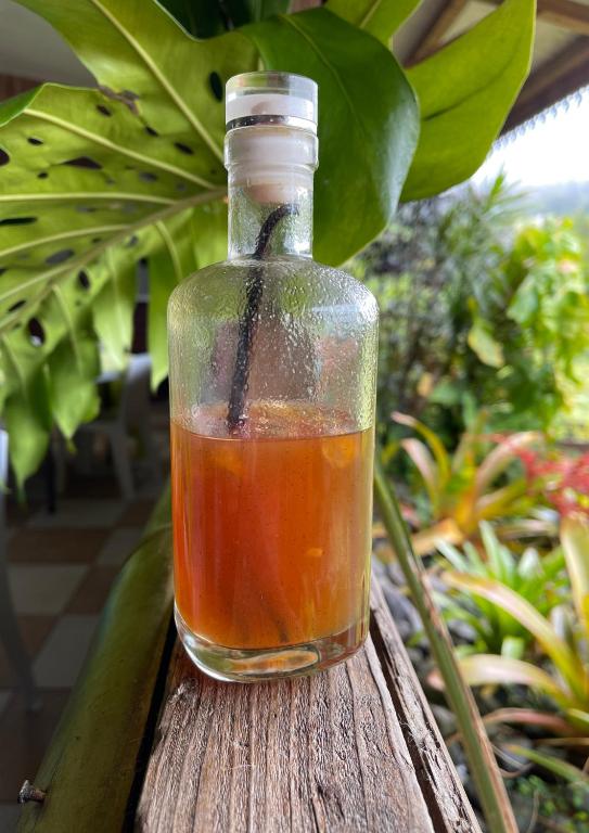 Fotografie z fotogalerie ubytování LE DOMAINE DE LA VALLEE v destinaci Le Morne Rouge