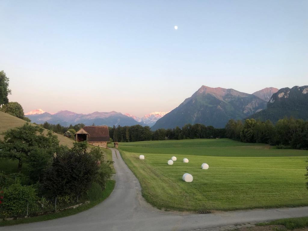 a road leading to a green field with white balls at Traumwohnung auf kleiner Pferdefarm in Thun