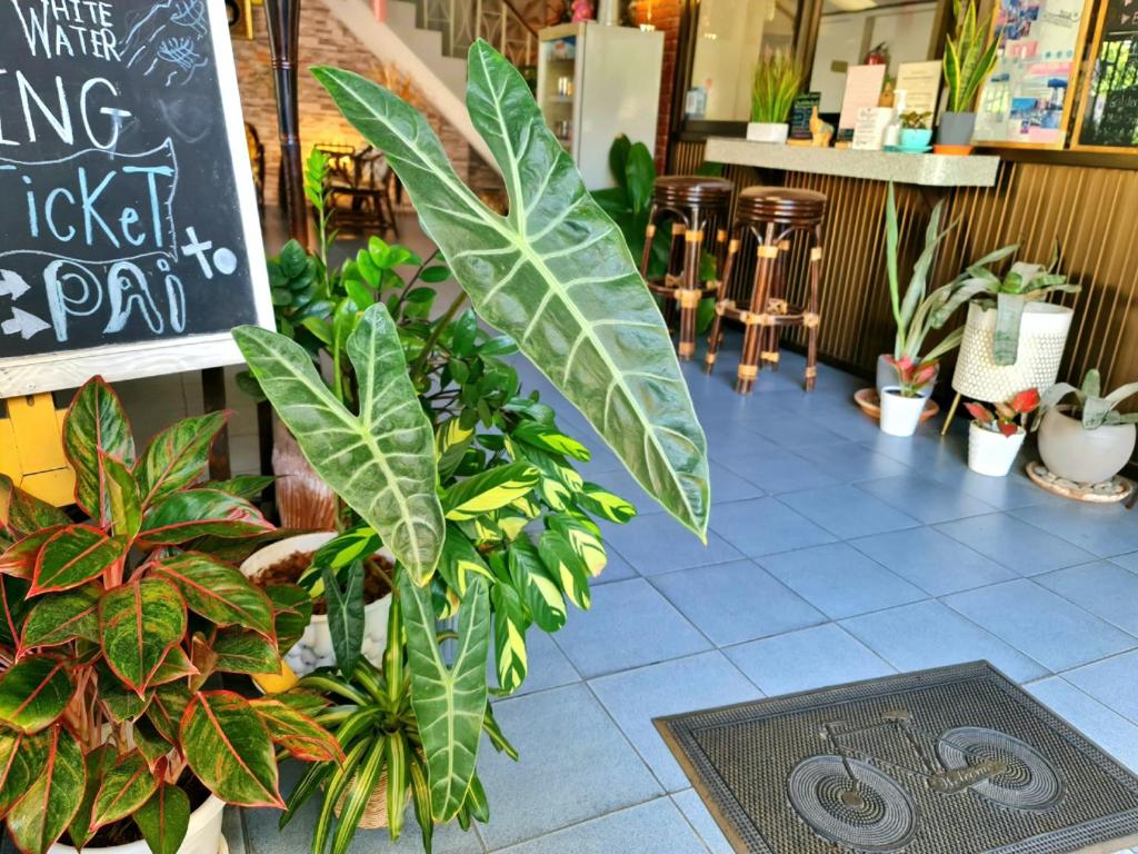 Bed and Terrace Guesthouse Chiang Mai - Resim 20