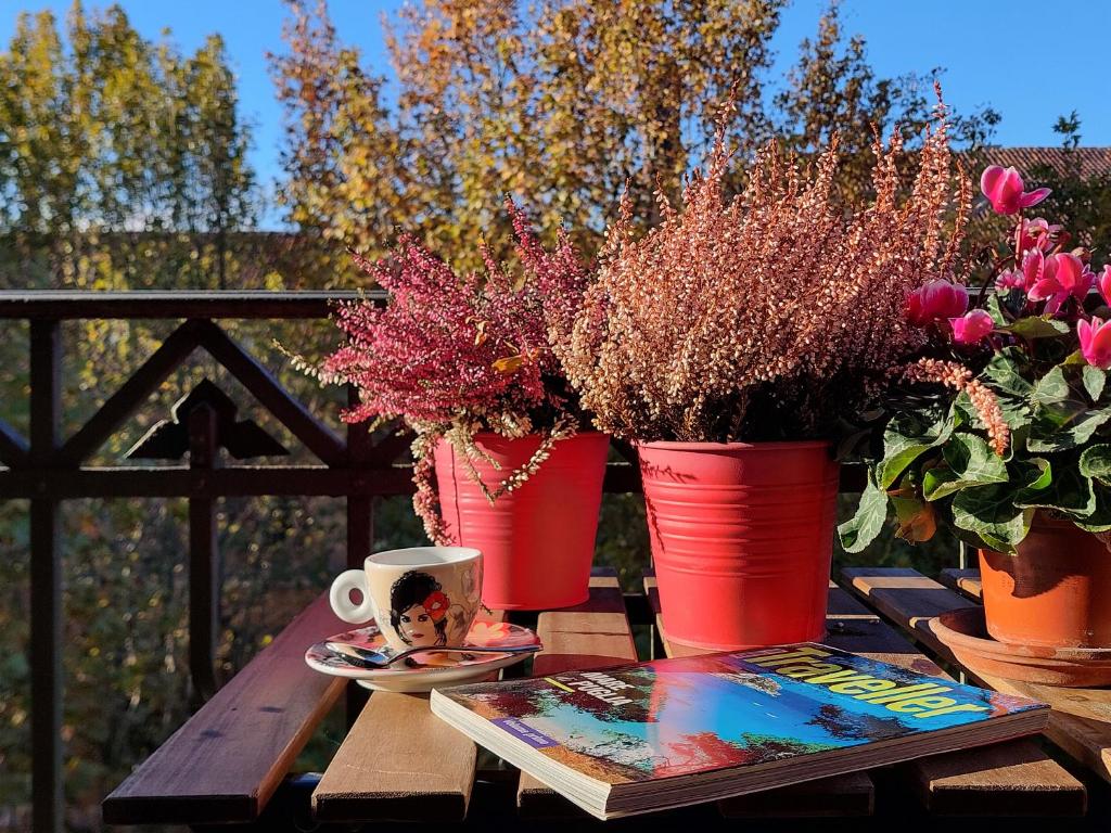 トリノにあるCasa Turatiの赤い花瓶2本とコーヒーカップと花のテーブル