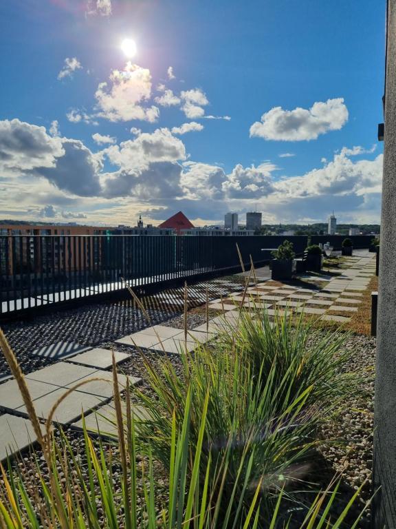 a view from the roof of a building with plants at RentPlanet - Apartamenty Chlebova II in Gdańsk