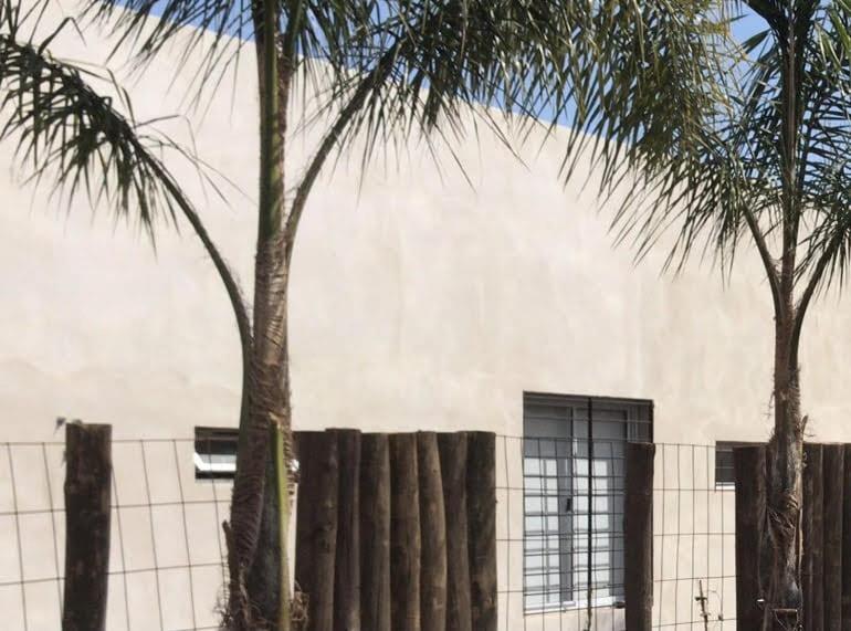 two palm trees and a fence in front of a building at vivestadias in San Gregorio