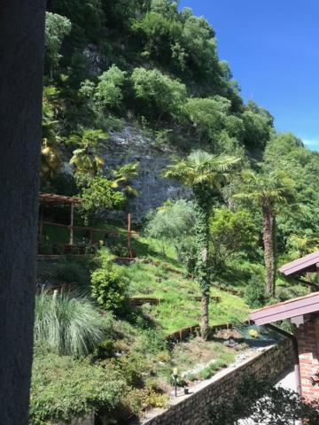 vistas a una montaña con árboles y arbustos en The Gulf Sailor's Cottage - Lago Maggiore, en  Monvalle 