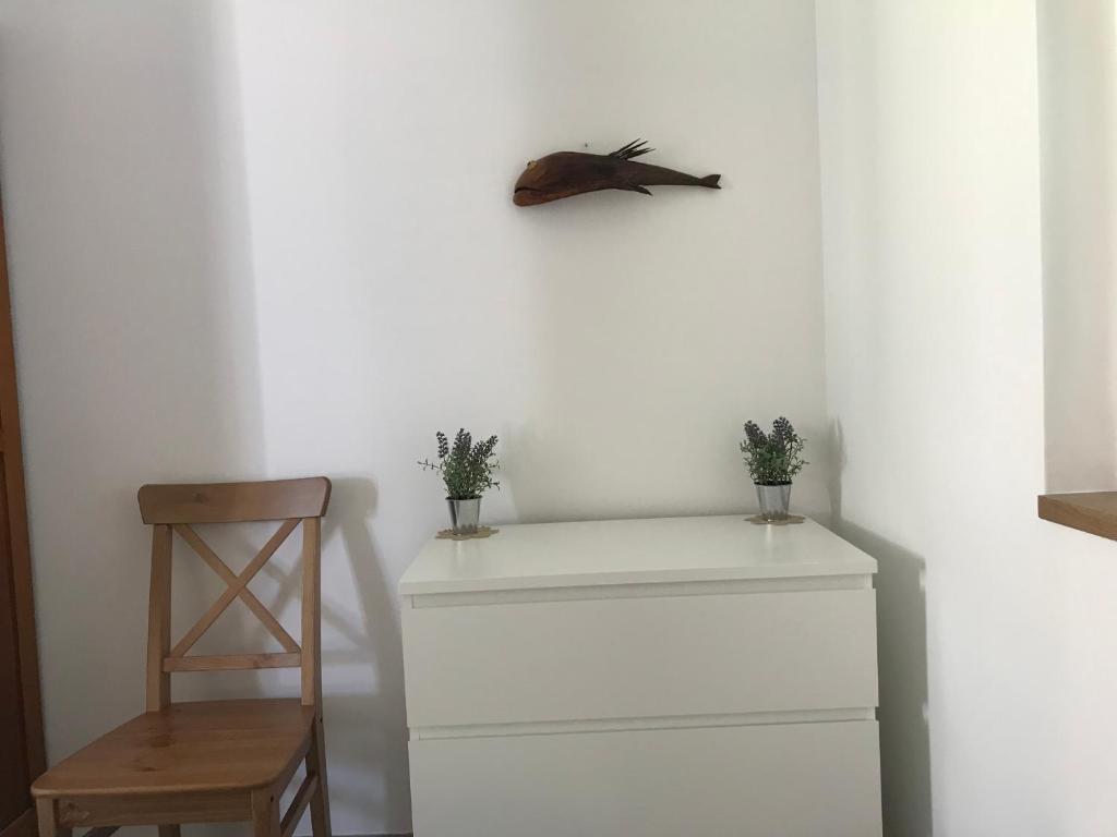 Fotografie z fotogalerie ubytování Karla v destinaci Vis