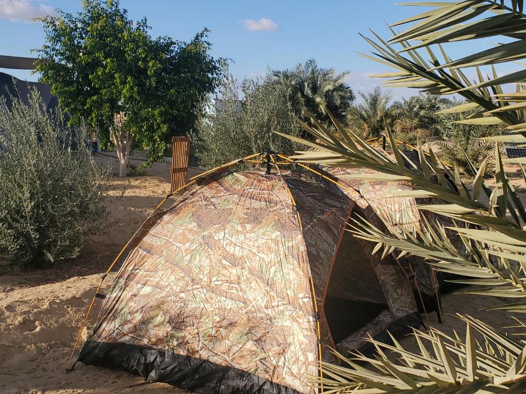 Gallery image of 2 pers tent in Siwa