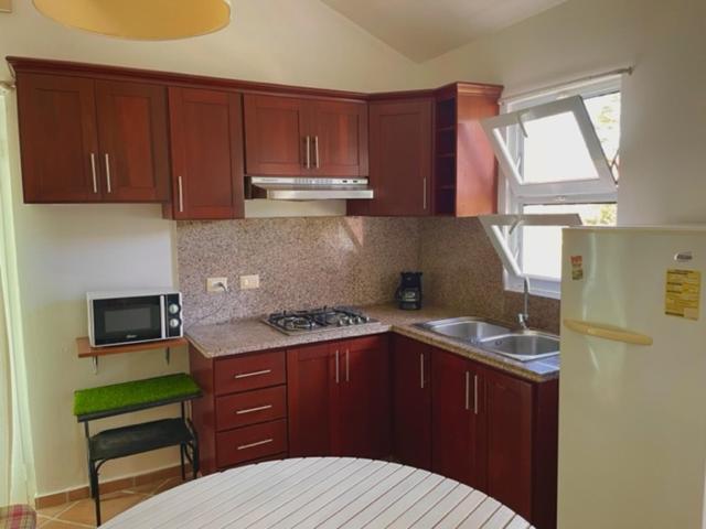 eine Küche mit braunen Schränken, einer Spüle und einem Kühlschrank in der Unterkunft Disfruta de tus vacaciones en Bávaro/Punta Cana in Punta Cana