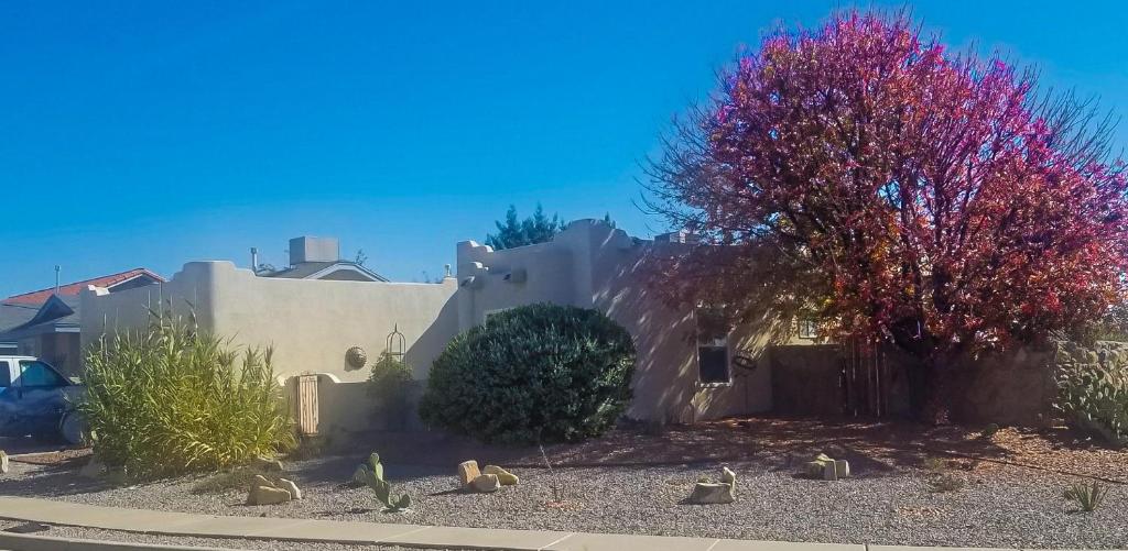 un grupo de aves sentadas frente a una casa en The perfect place . . . here it is!, en Las Cruces
