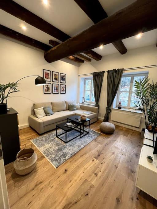 Donaublick Apartment في باساو: غرفة معيشة مع أريكة وطاولة