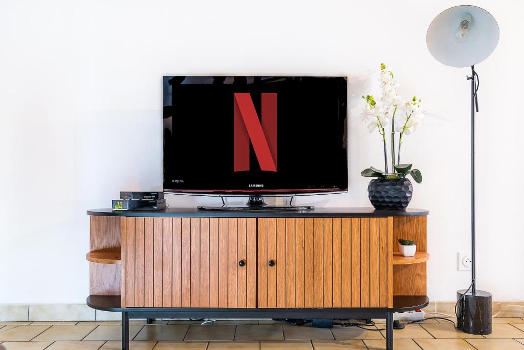 TV a/nebo společenská místnost v ubytování Au cœur de joigny