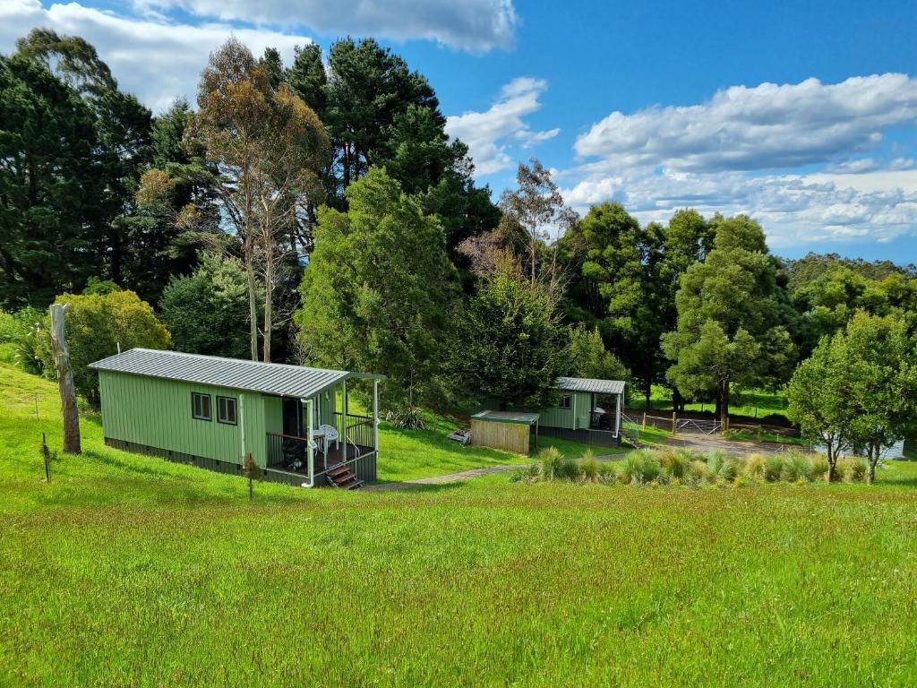 a green cabin in a field with trees at Cozy Otways Accommodation in Beech Forest