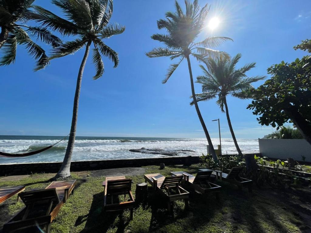 um grupo de cadeiras e palmeiras na praia em LOOKING2GOOD em El Zonte