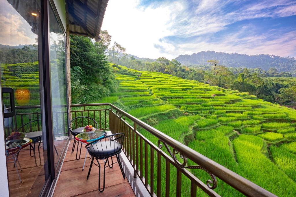 einen Balkon mit Blick auf ein Reisfeld in der Unterkunft Central hills Puluong resort in Hương Bá Thước
