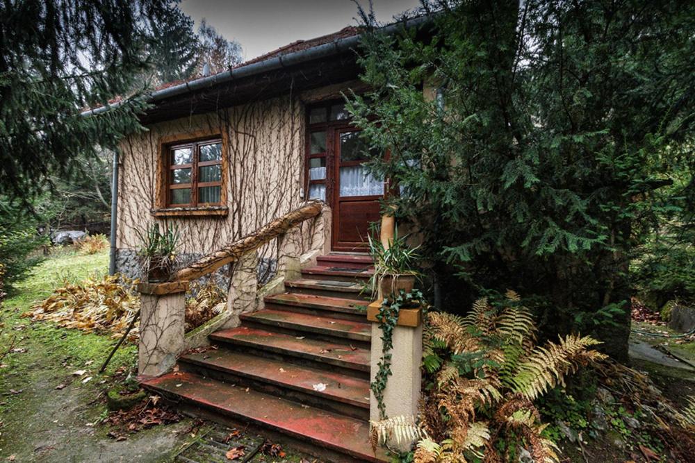 Cabaña de madera con escaleras que conducen a una puerta en Boróka Apartmanházak - Öregház en Velem