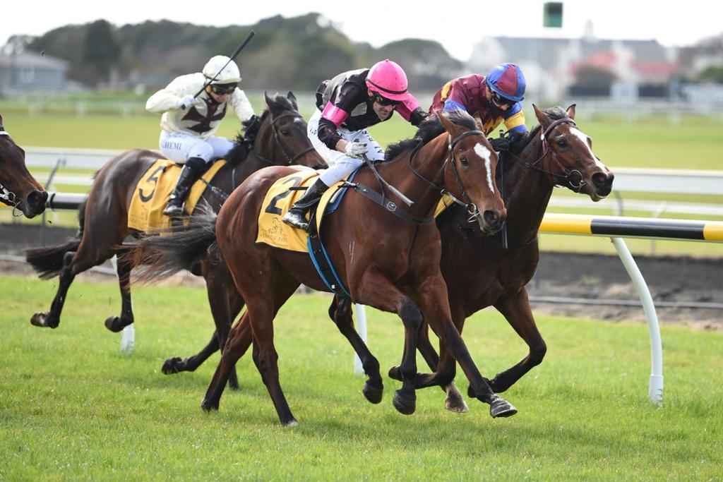 Parkside Motel and Apartments - Resim 26