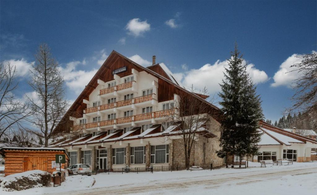 Hotel Casa Pelerinul during the winter