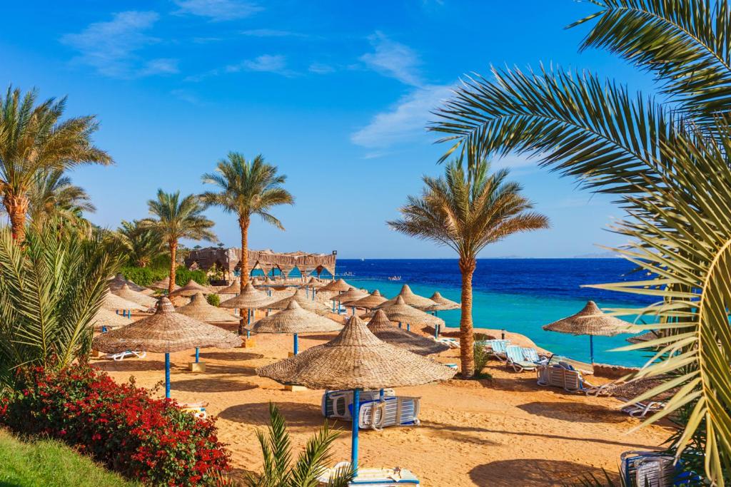 Criss resort Sharm el-Sheikh