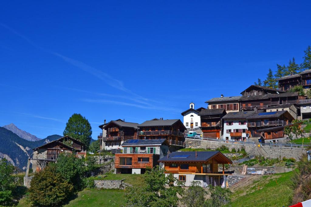 a group of houses on a hill in the mountains at Gite du pèlerin-Chalet de montagne in Orsières
