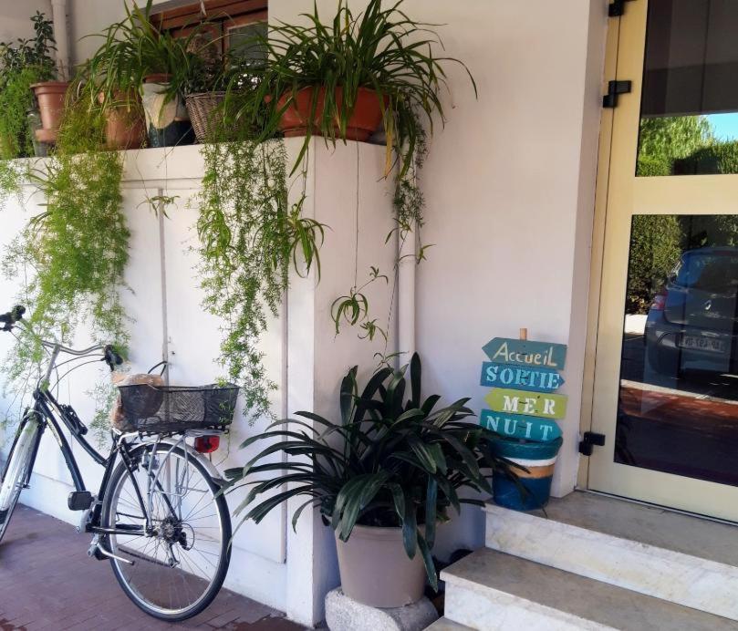 una bicicleta estacionada frente a un edificio con plantas en Hôtel Restaurant Brasilia, en Cagnes-sur-Mer