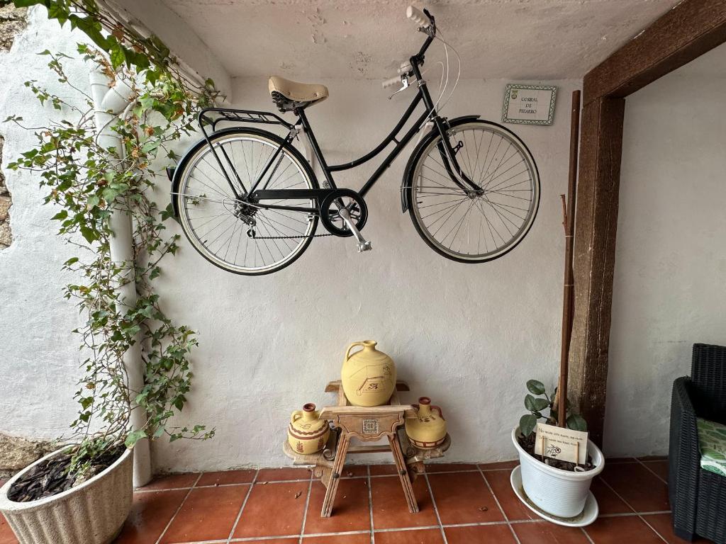 トルヒーリョにあるCasatrujillo AT-CC00739の植物の壁掛け自転車