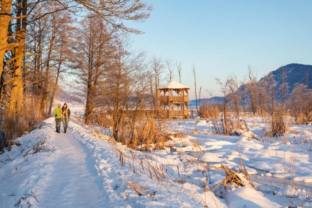 Kép Seecamping Hoffmann szállásáról Steindorf am Ossiacher Seeben a galériában