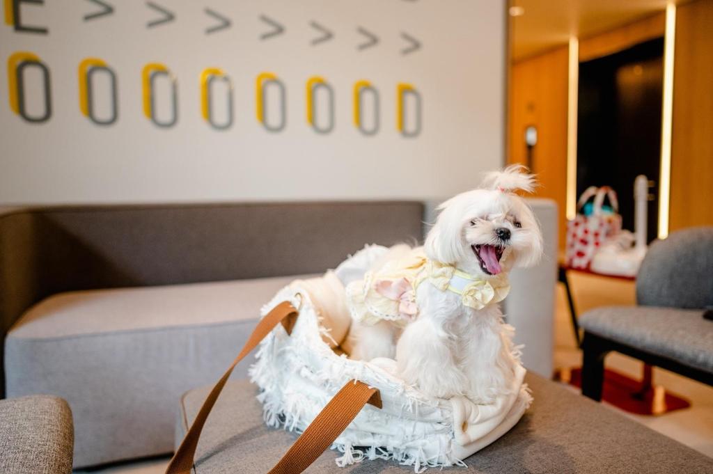 Oakwood Studios Sukhumvit Bangkok - Resim 27