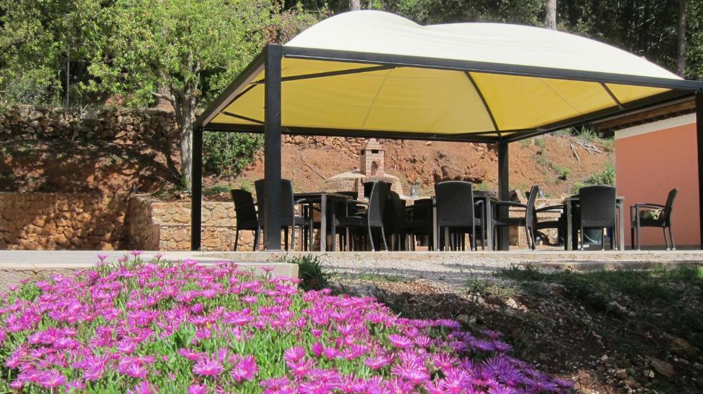 Ogród w obiekcie B&B Capo Pero